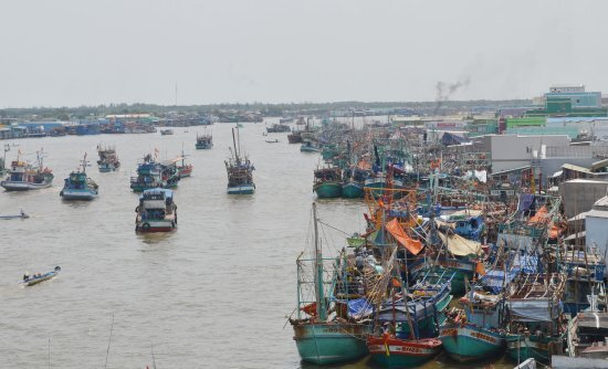 Tìm thấy thi thể ngư phủ ở Cà Mau rớt xuống biển khi đang câu mực