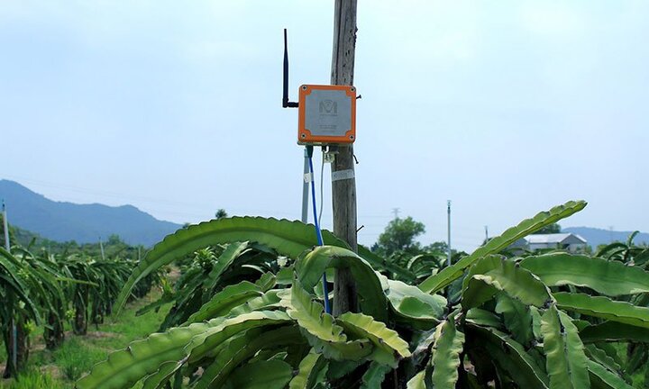 Nông dân ứng dụng công nghệ do Mimosa TEK cung cấp