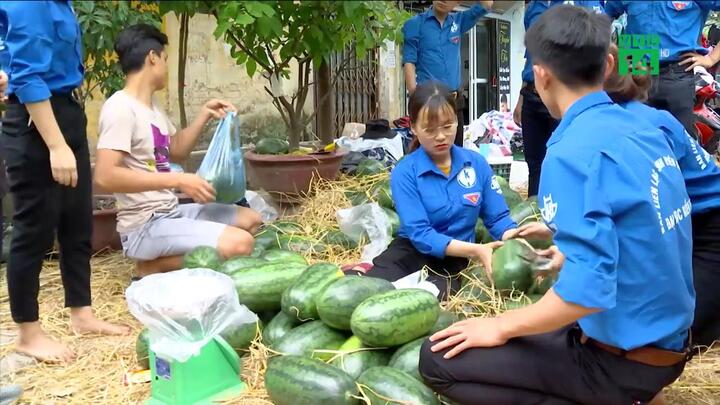 Nhiều địa phương cầu cứu giải cứu nông sản