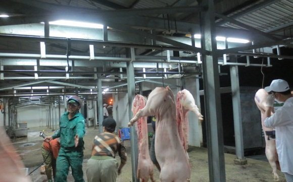 Giải pháp giết mổ gia súc tập trung theo công nghệ sạch