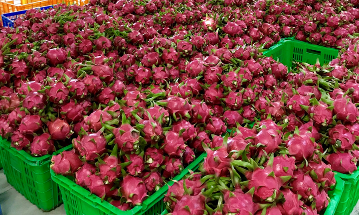 MM Mega Market Việt Nam xuất khẩu thành công nông sản Việt sang hệ thống Big C Thái Lan