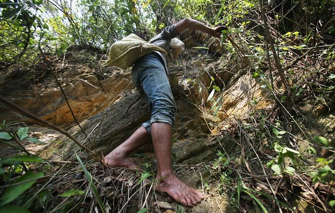 Video: Người đàn ông chân trần trèo vách đá lấy mật ong rừng ở Sơn La