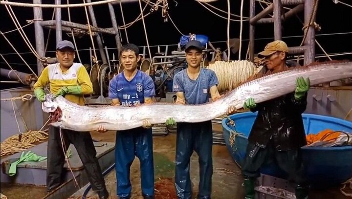 Xôn xao clip ngư dân bắt được cá hố khổng lồ, 4 người nâng mới xuể