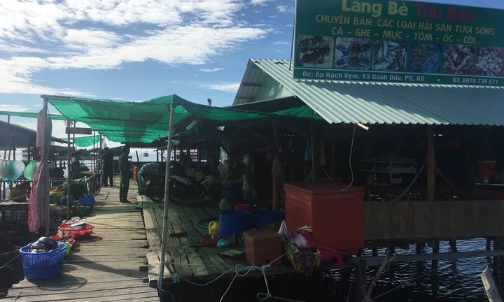 Giải cứu 3 con rùa biển quý hiếm bị nuôi nhốt ở Phú Quốc