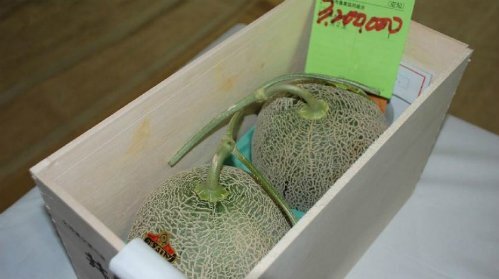 Cặp dưa lưới giá bằng chiếc ôtô ở Nhật