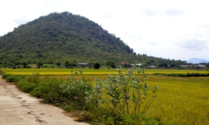 Đi chăn dê thuê, 2 ông cháu bị sét đánh chết thương tâm