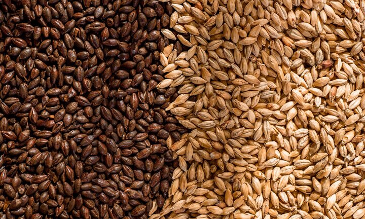 Những dấu ấn đặc biệt từ nước giải khát lên men từ lúa mạch đầu tiên ở Việt Nam