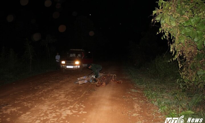 Chở gỗ bằng xe máy từ rừng về, người đàn ông bị gỗ đè chết