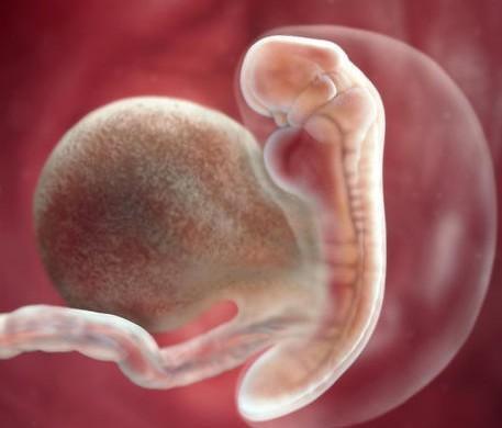 Muốn con khỏe, không nên thụ thai vào thời điểm này