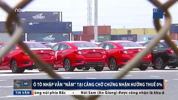 Video: Hàng nghìn ô tô nhập vẫn nằm cảng chờ hưởng thuế 0%