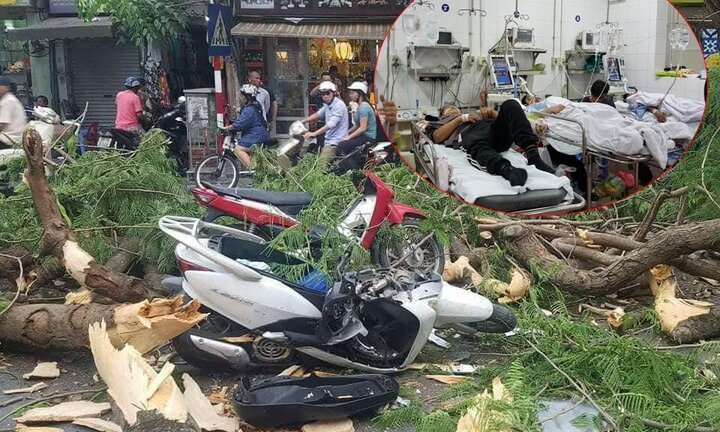 Sức khỏe của những nạn nhân bị cây đổ đè trúng ở Hà Nội giờ ra sao?