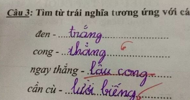 Hài hước những câu trả lời 'bá đạo' của học sinh trong bài kiểm tra
