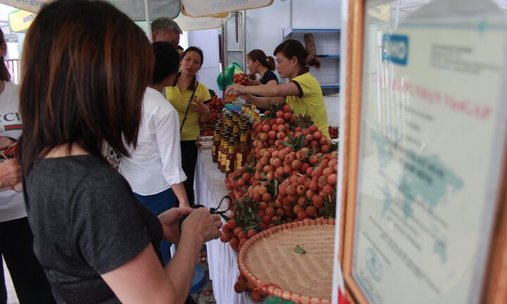 Vải thiều Thanh Hà giá cao vẫn hút khách Hà Nội