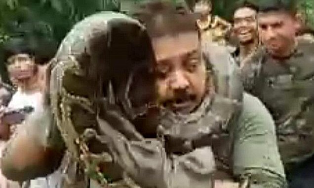 Clip: Vừa được cứu, trăn khổng lồ dài 10m siết cổ, suýt giết chết ân nhân