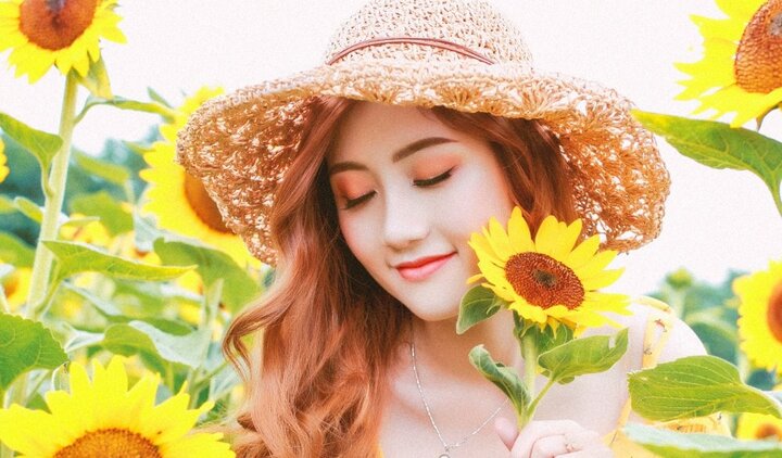 Hot girl Đại học Kiểm sát Hà Nội rạng ngời giữa cánh đồng hướng dương