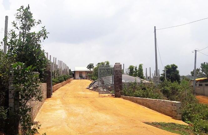 Bị khởi tố vì tiếp tay cho 15 cán bộ quản lý rừng lấn chiếm 84.000m2 đất