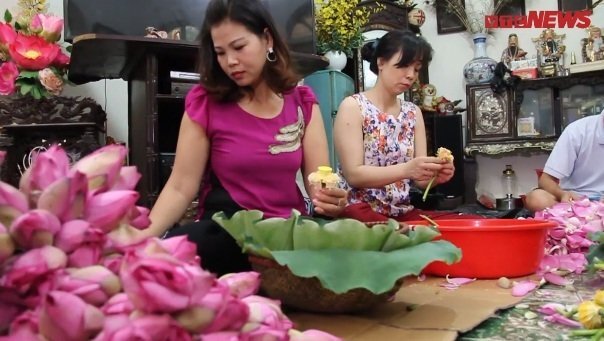 Video: Bạn sẽ choáng váng khi biết trà sen Hà Nội giá chục triệu đồng được làm như thế này