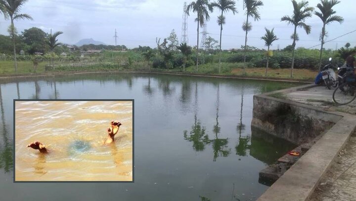 Cứu em trai 2 tuổi, hai chị em cùng chết đuối: Người cha đau đớn kể phút nhìn thấy con