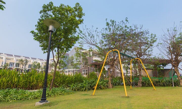Sống xanh: Hiểu sao cho đúng