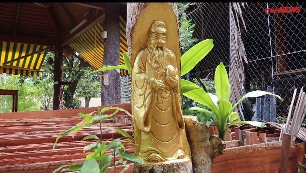 Clip: Mục sở thị những gốc cây kiểng được tạc tượng ở miền Tây