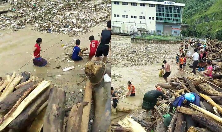 Clip: Trẻ em Lai Châu liều mình lao ra vớt củi giữa dòng lũ