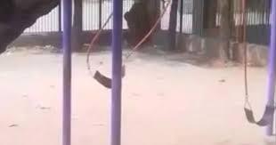 Kinh hãi cảnh xích đu 'ma' tự đung đưa rồi bất ngờ văng mạnh giữa ban ngày