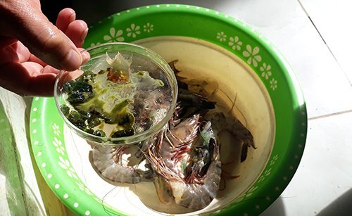 Phát hiện bơm tạp chất vào tôm ở Sầm Sơn, Thanh Hóa kiểm tra diện rộng