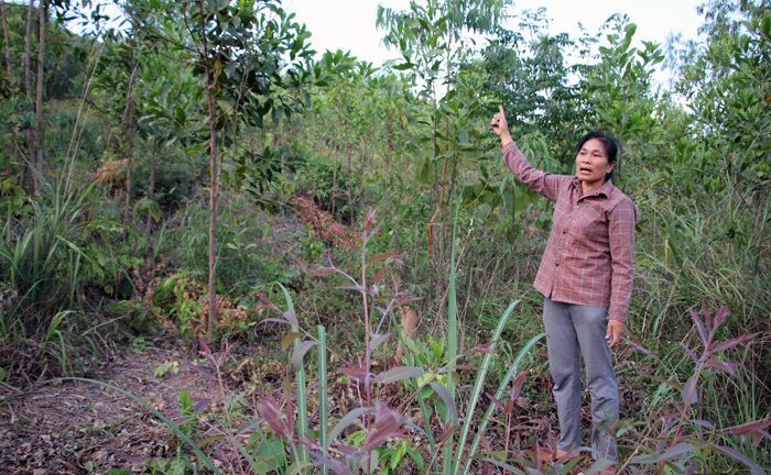 Hơn 10 năm đi đòi 3 ha đất bố mẹ đẻ nhờ hàng xóm trông nom