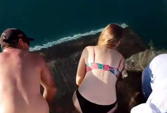 Video: Cho cá mập ăn, cô gái bị con vật lôi xuống nước, cắn nát ngón tay