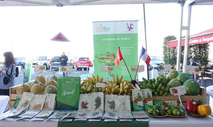 VinEco gây ấn tượng tại chợ đầu mối lớn nhất thế giới