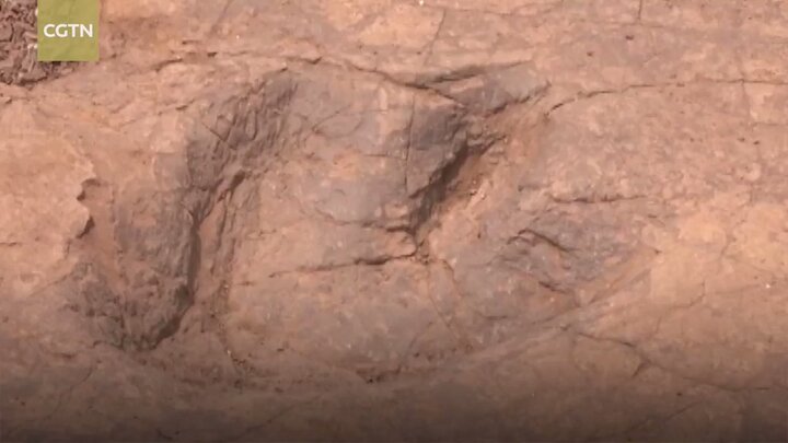 Các nhà khảo cổ sốc khi tìm thấy hơn 300 dấu chân khủng long ở Trung Quốc