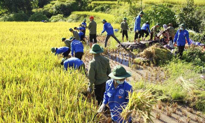 Sinh viên Học viện An ninh đội nắng giúp dân Yên Bái khắc phục hậu quả sau mưa lũ