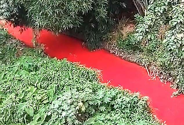 Dòng sông đang xanh trong bất ngờ chuyển màu đỏ máu như phim kinh dị chỉ sau 1 đêm