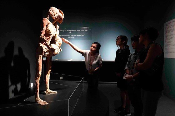 Sự bí ẩn đặc biệt của cơ thể người: Giáo dục hay ghê rợn?