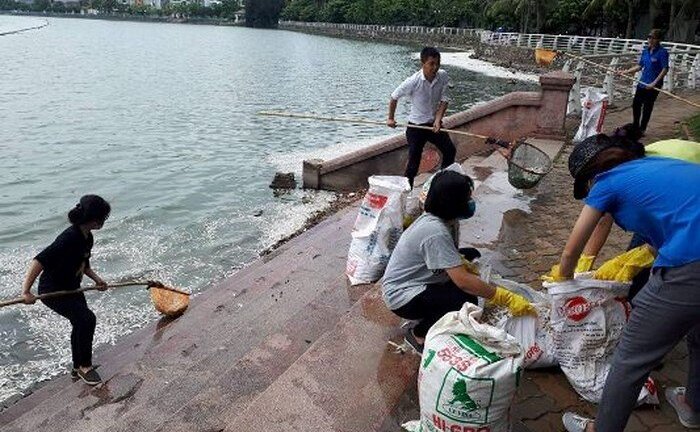 Video: Dân vớt hàng tạ cá chết ở Hồ Tây về ủ làm phân bón