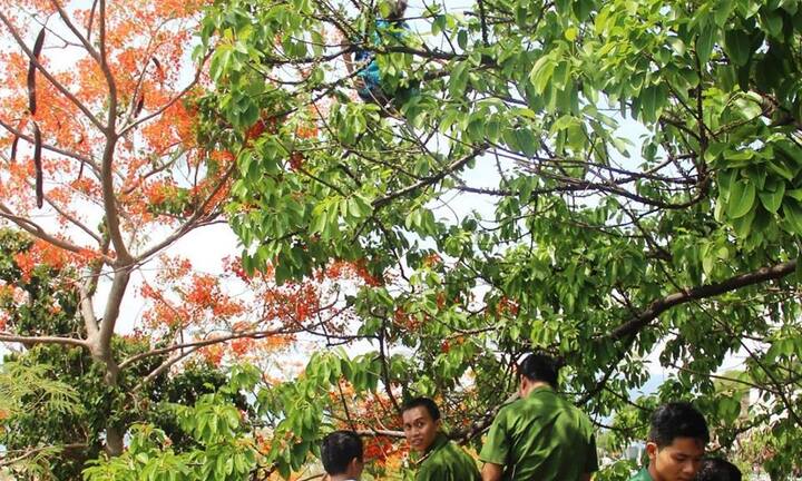 Nghẹt thở giải cứu cô gái nghi ngáo đá trèo lên cây nhảy múa bên vực sâu