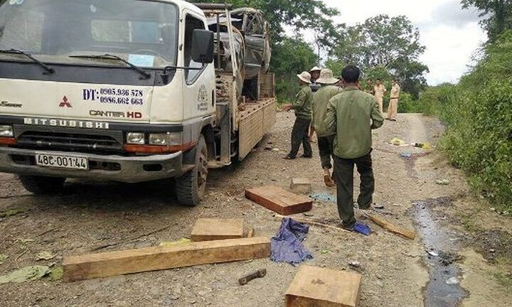 Xe chở gỗ bị lật, 2 người chết: Đình chỉ nhiều cán bộ