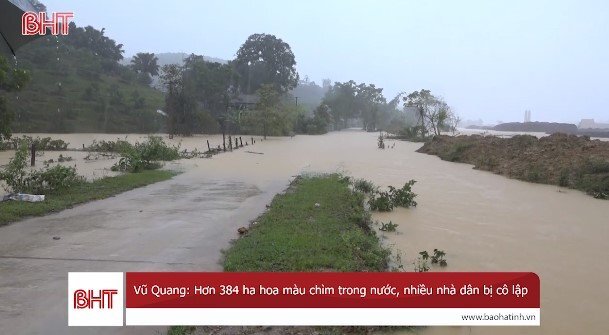 Video: Nước sông dâng nhanh, cô lập nhiều tuyến đường, nhà dân ở Hà Tĩnh