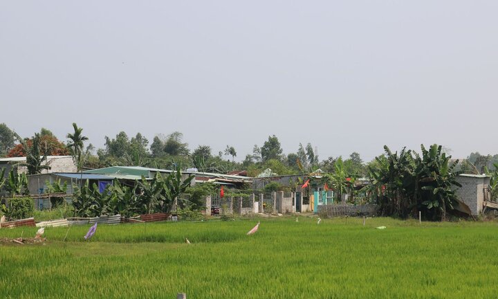 Thanh tra Đà Nẵng đề nghị kiểm điểm Chủ tịch UBND quận Liên Chiểu