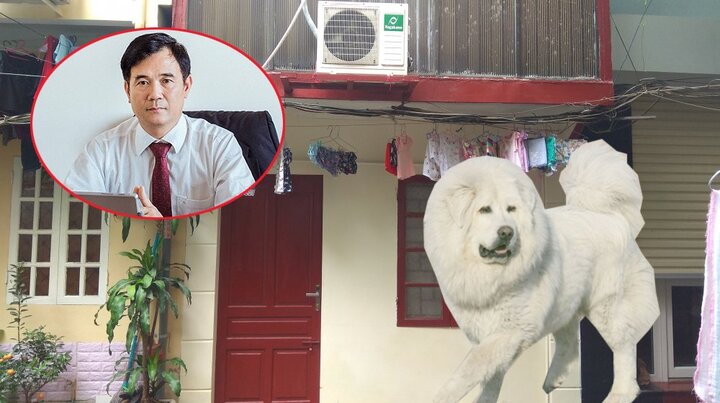 Chó ngao Tây Tạng cắn chết cháu bé 8 tháng tuổi, luật sư: ‘Cơ quan chức năng buộc phải khởi tố’