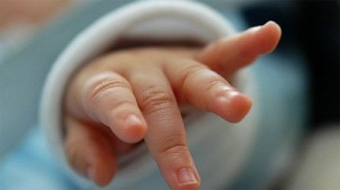 Xem cận cảnh quy trình thụ tinh trong ống nghiệm diễn ra thế nào