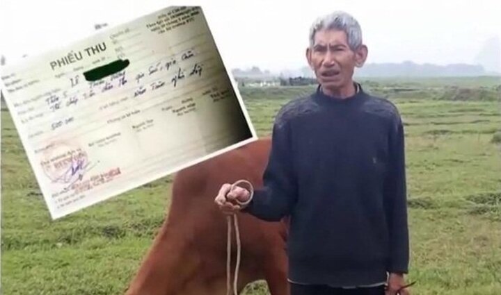 Thanh Hóa: Thu phí chăn thả trâu bò, chủ tịch xã bị kiểm điểm rút kinh nghiệm