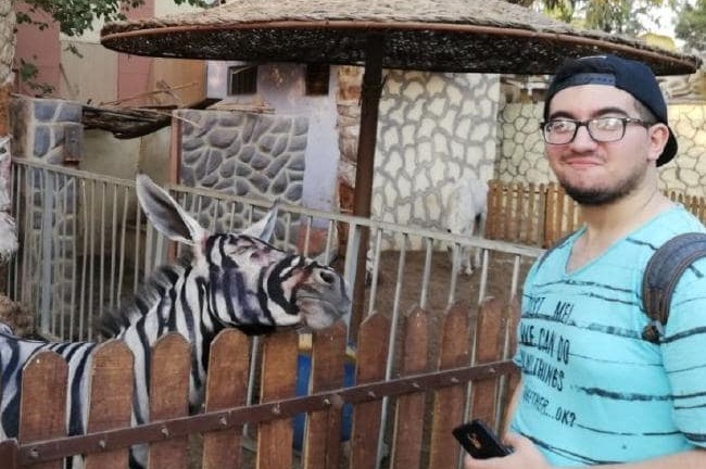 Sơn lừa thành ngựa vằn bịp du khách, sở thú bị chỉ trích dữ dội