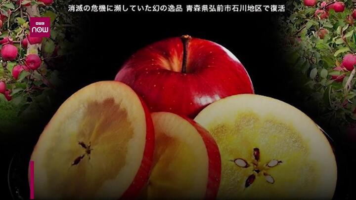 Táo mật gần 800.000 đồng/kg hút giới nhà giàu Việt