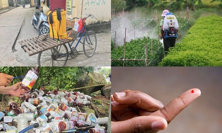 Thử máu xét nghiệm tồn dư thuốc BVTV tại Hà Nam: Cứ 10 người thì 6 người có thuốc sâu trong máu