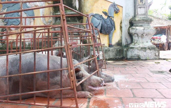 Ngập lụt ở Chương Mỹ: 'Đục nước béo cò'