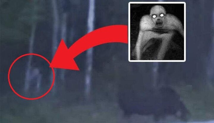 Clip: Phát hiện sinh vật bí ẩn cao gần 2m, giống quái vật trong phim 'Chúa nhẫn'