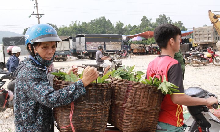 Ảnh: Cận cảnh chợ na lớn nhất miền Bắc ở Lạng Sơn tấp nập vào vụ