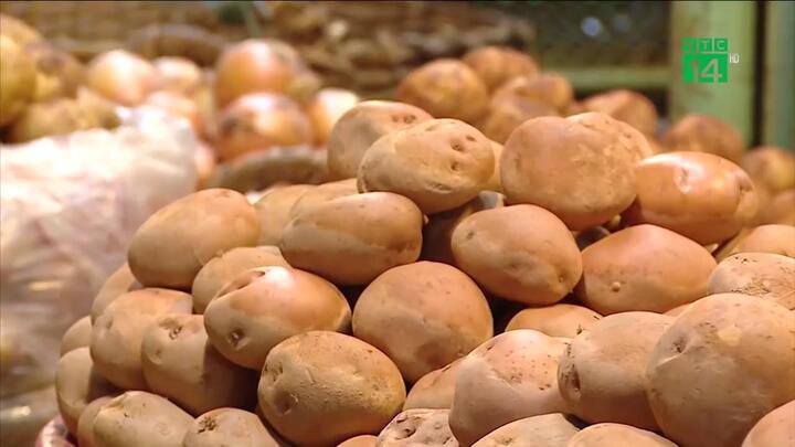 Gian thương bán khoai tây Trung Quốc 'đội lốt' khoai Đà Lạt, lừa người tiêu dùng