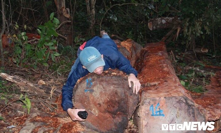 Kỷ luật 2 cán bộ để mất rừng ở Đắk Lắk